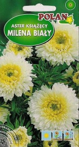 POLAN Aster książęcy Milena Biały 1g