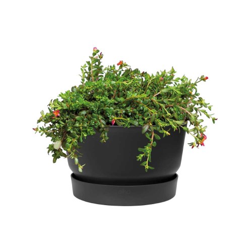 ELHO GREENVILLE DONICZKA MISA 33CM CZARNA