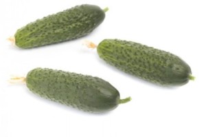 RIJK ZWAAN Ogórek Kybria 250 n