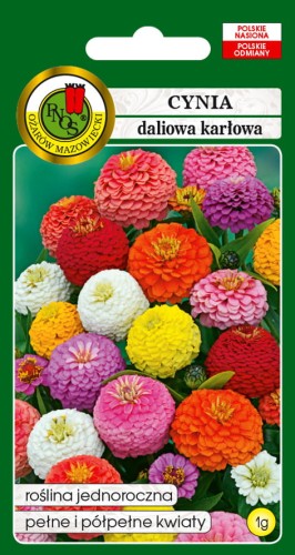 PNOS Cynia Dalia Karłowa Cupido 1g