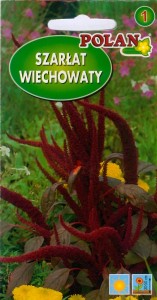 POLAN Szarłat Wiechowaty Red Fox czerwony 2g