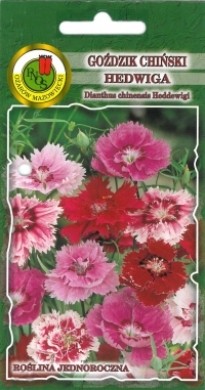 PNOS Goździk chiński Hedwiga Baby Doll mieszanka 1g