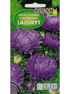 POLAN Aster peoniowy Lazuryt fiołkowy 1g