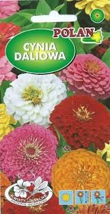 POLAN Cynia daliowa mieszanka 1g