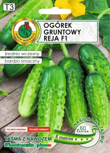 PNOS Ogórek Gruntowy Reja F1 - Nasiona na taśmie z nawozem