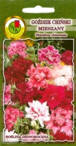PNOS Goździk chiński mieszany 1g