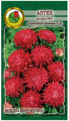 PNOS Aster karłowy czerwony 0,8g