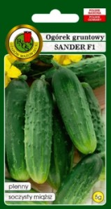POLAN Ogórek gruntowy Sander 5g