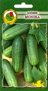 PNOS Ogórek pod osłony  Monika 2g