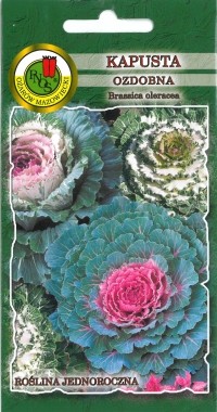 PNOS Kapusta ozdobna mieszanka 0,3g