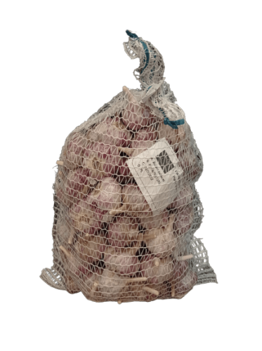Czosnek Ozimy Harnaś 5kg