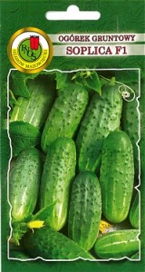 PNOS Ogórek gruntowy Soplica F1 5g