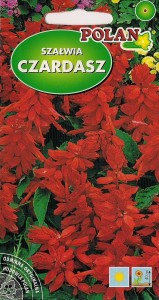 POLAN Szałwia błyszcząca Czardasz czerwona 0,5g