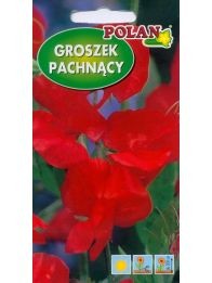 POLAN Groszek pachnący Cuthberston szkarłatny 3g