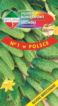 SPÓJNIA Ogórek gruntowy Śremski NOWY F1 5g