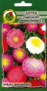 PNOS Aster pomponowy mieszany 0,8g
