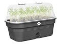  ELHO GROW TRAY L CZARNA ALL-IN-1