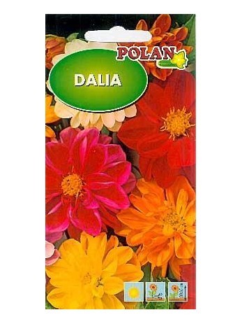 POLAN Dalia Mignon mieszanka 1g