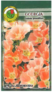 PNOS Godecja wielkokwiatowa pomarańczowa 1 g