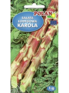 POLAN Sałata łodygowa Karola 1g