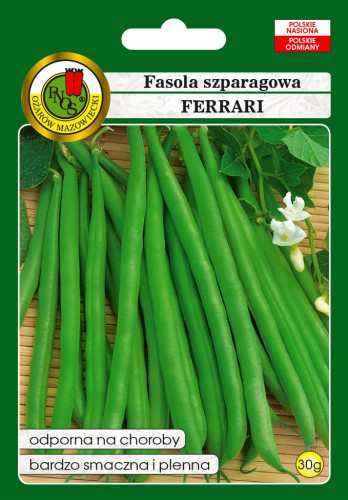 PNOS Fasola szparagowa  zielona karłowa Ferrari 30g