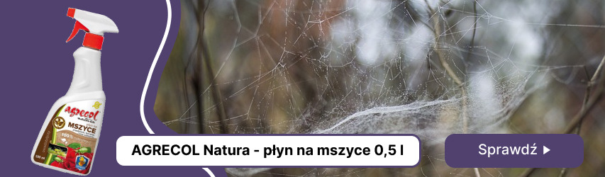 Płyn na mszyce