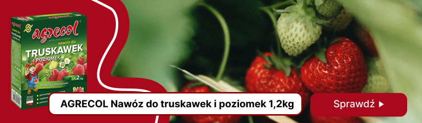 Agrecol Nawóz do truskawek