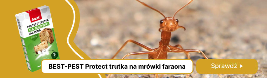 Best-pest Protect trutka