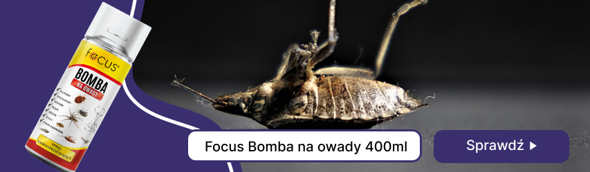 Focus bomba na owady