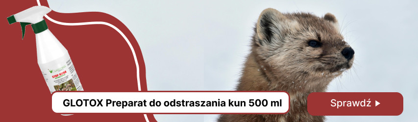 Glotox na kuny
