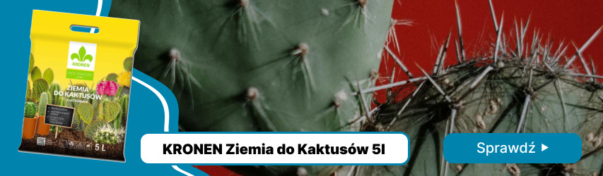 Ziemia do kaktusów