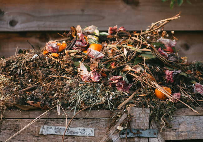 Kompost jako naturalny nawóz dla ogrodu
