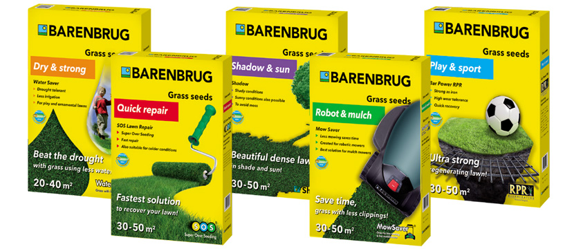Producent nasion trawy – Barenbrug z nosem do innowacji!