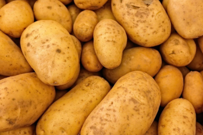 Chwasty w ziemniakach. Naturalne sposoby i oprysk na chwasty w ziemniakach po wschodach.