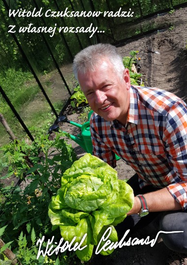 Jak prawidłowo przygotować domową rozsadę