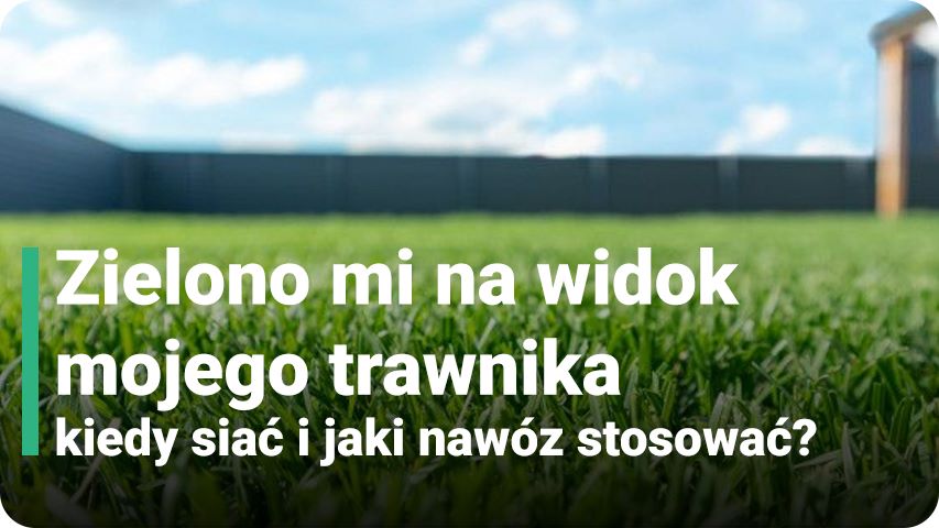Zdrowa, zielona trawa – jaki rodzaj wybrać i czym nawozić?