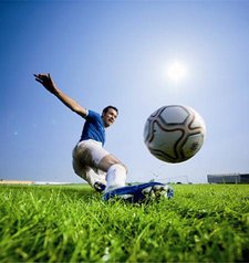 Jakie nasiona trawy można wysiewać na stadionach i na innych intensywnie wykorzystywanych trawnikach?