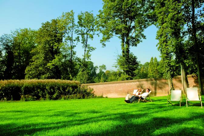 Trawa uniwersalna - właściwości, zalety i praktyczne zastosowanie