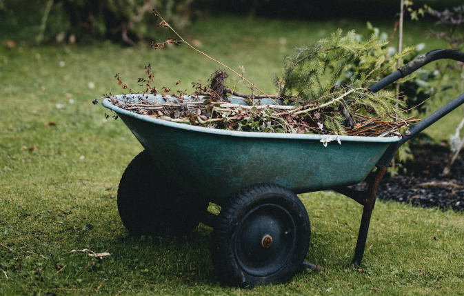 Środki chwastobójcze - skuteczne rozwiązanie dla Twoich problemów z chwastami