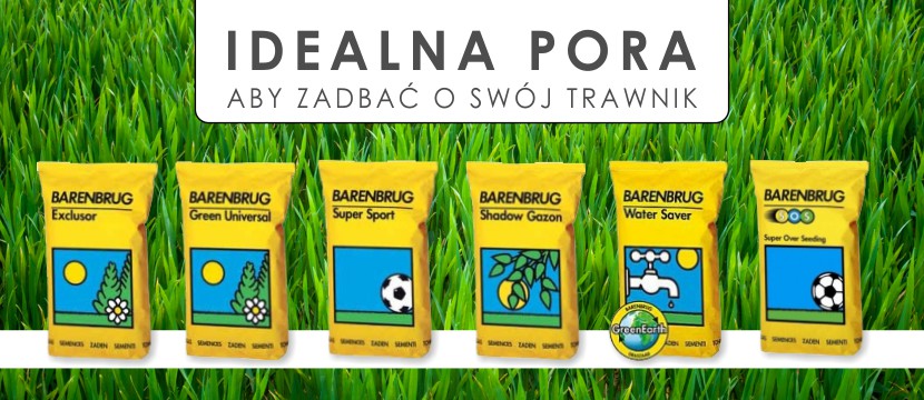 Jak pielęgnować trawnik wiosną?